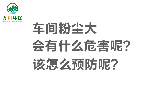 車間粉塵大會(huì)有什么危害呢？該怎么預(yù)防呢明確相關要求？